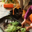 Kép 5/8 - Fiskars Urban Gardening szerszámtároló kosár