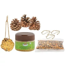 Madáreledel, toboz DIY