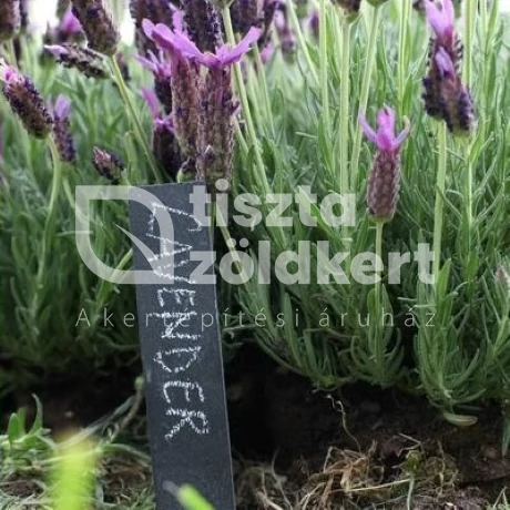 Pala növény névtábla szett-6 db  GT131