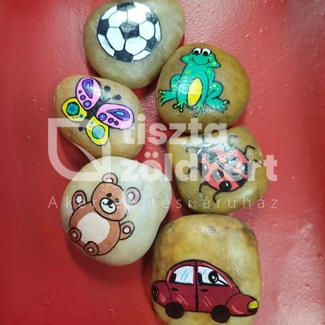 Kavics ovis jel - focilabda