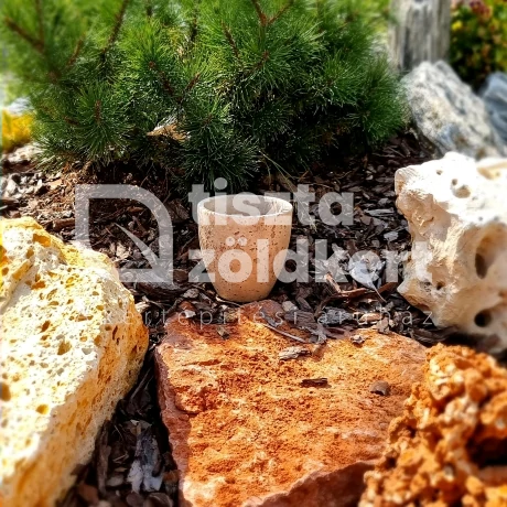 Kaspó cement natúr koptatott kicsi 10,5x10 cm