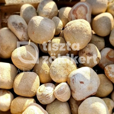 Rainbow görgeteg XXL MÉRŐS (kg)