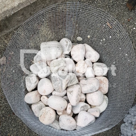 Pinkie görgeteg  MÉRŐS (kg)