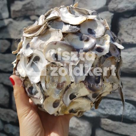 Kagyló gömb 23 cm natúr 28495017