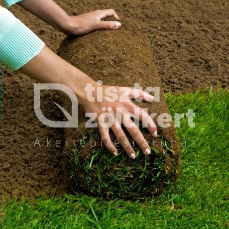 Gyepszőnyeg - 149 m2-ig